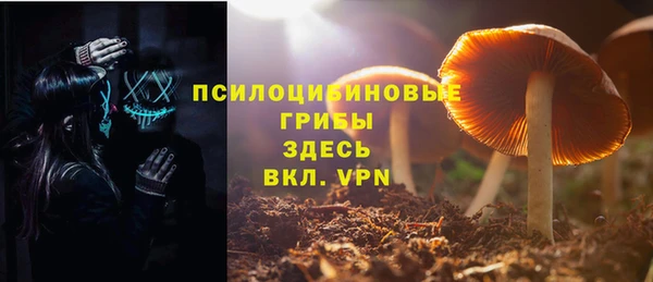 ешки Алексеевка