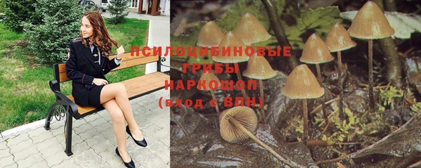a pvp Алексин