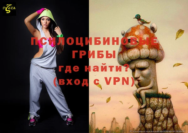 a pvp Алексин