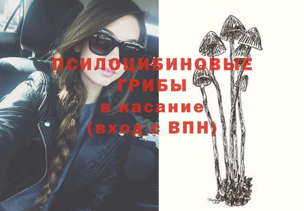 a pvp Алексин