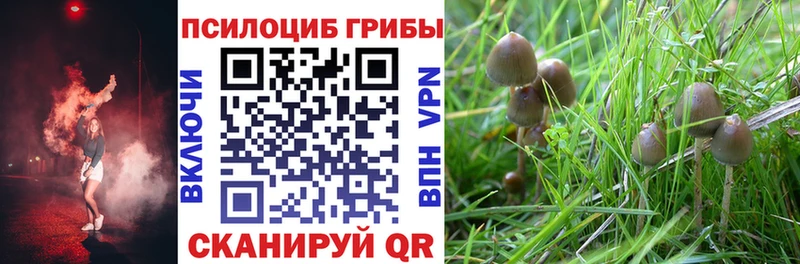 Псилоцибиновые грибы Magic Shrooms  Николаевск 